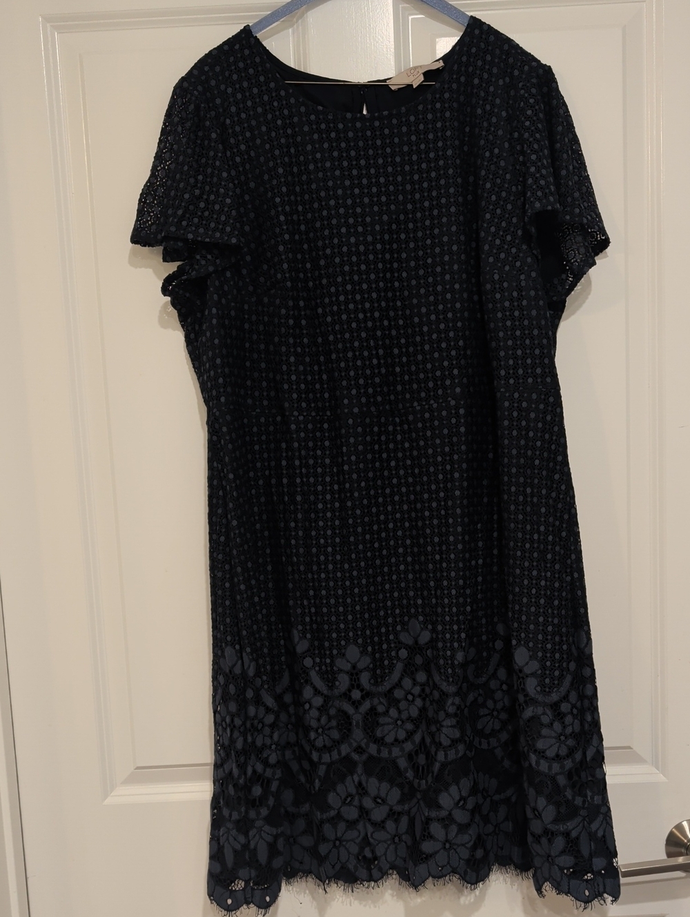 LOFT Navy Lace Shift Dress with Floral Hem